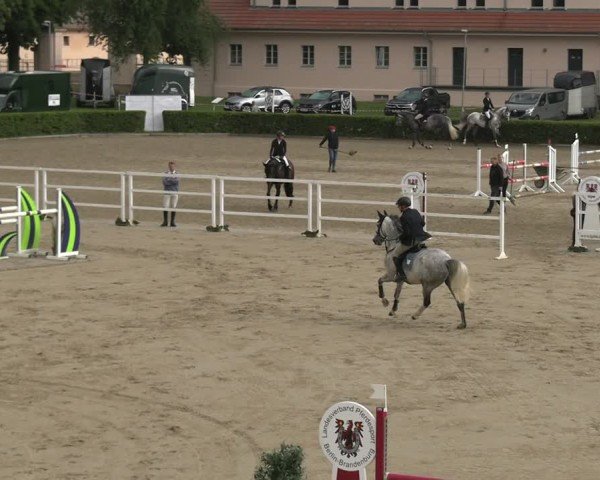 Reitturnier Neustadt/Dosse 2025