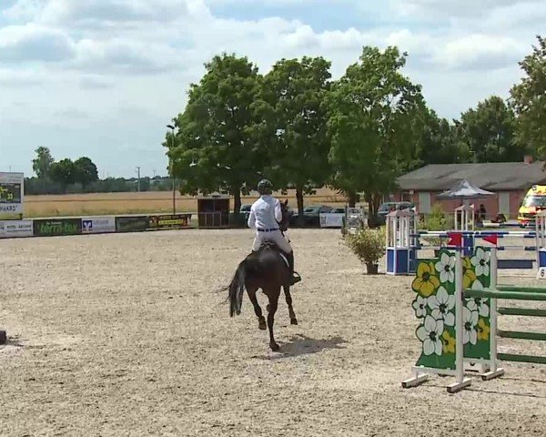 Reitturnier Rot am See- Musdorf 2025