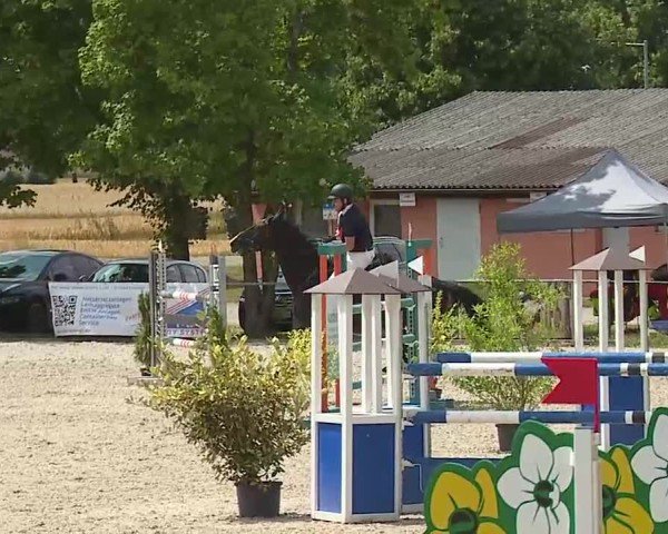 Reitturnier Rot am See- Musdorf 2025