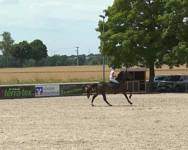 Reitturnier Rot am See- Musdorf 2025