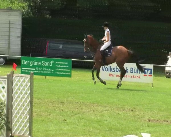 Sommerturnier Legelshurst 2014