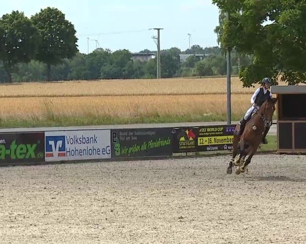 Reitturnier Rot am See- Musdorf 2025