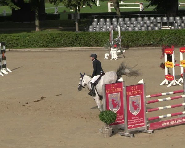 Reitturnier Neustadt/Dosse 2025
