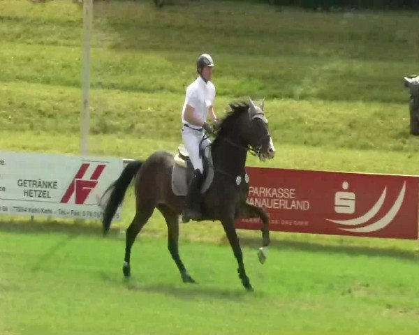 Sommerturnier Legelshurst 2014