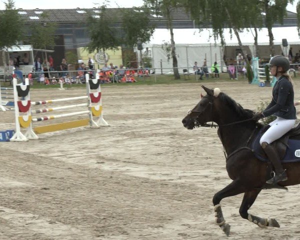Reitturnier Herbern 2025