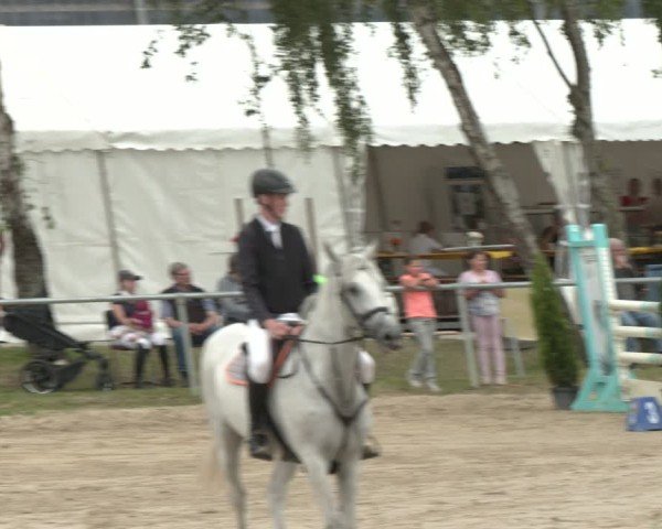 Reitturnier Herbern 2025