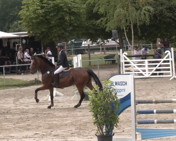 Reitturnier Herbern 2025