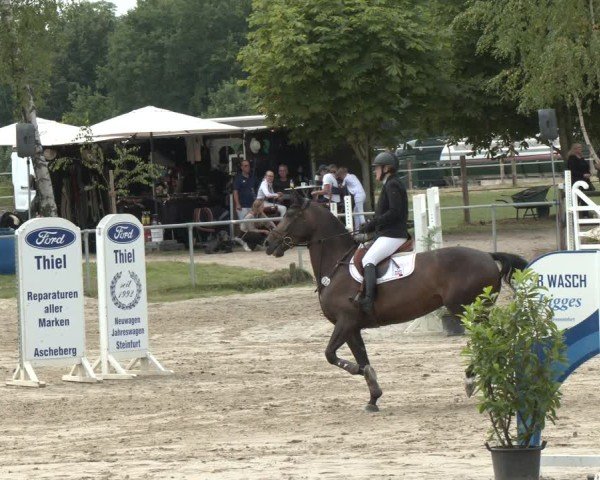 Reitturnier Herbern 2025
