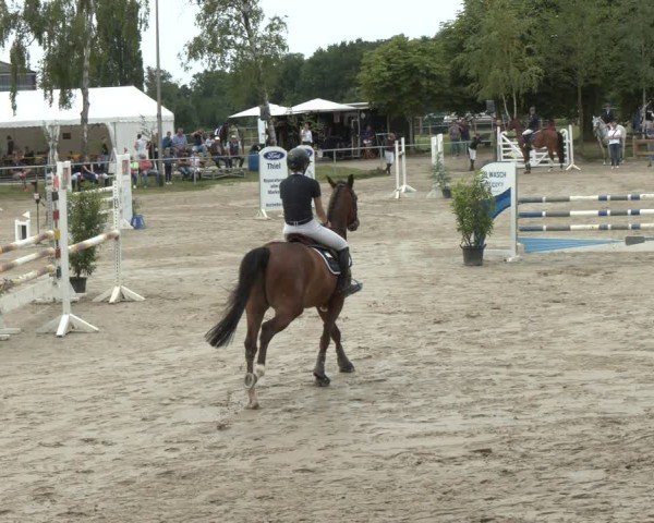 Reitturnier Herbern 2025