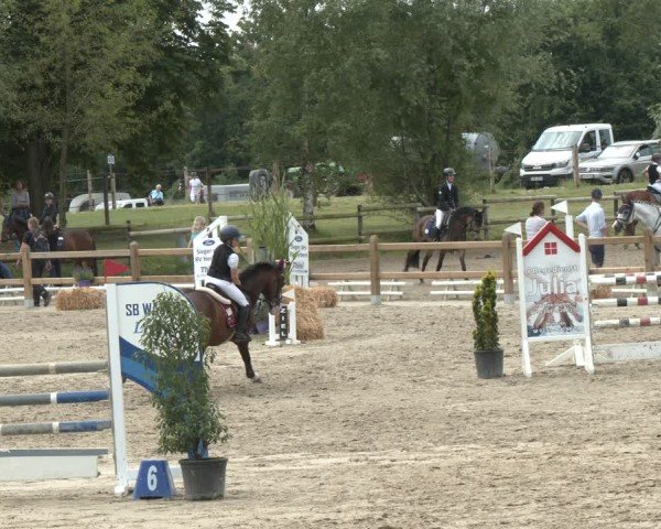 Reitturnier Herbern 2025