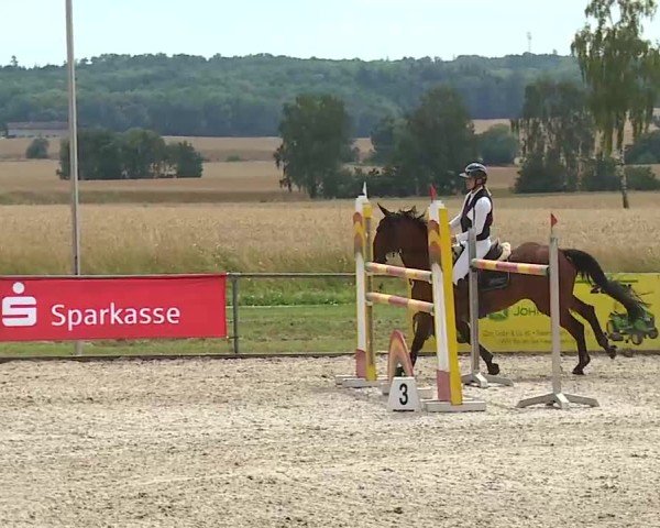 Reitturnier Rot am See- Musdorf 2025