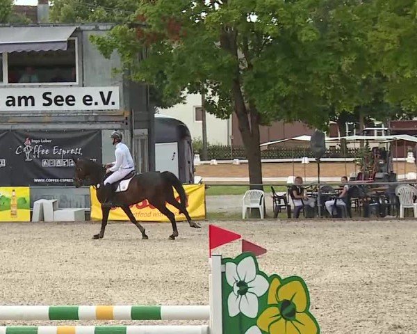 Reitturnier Rot am See- Musdorf 2025