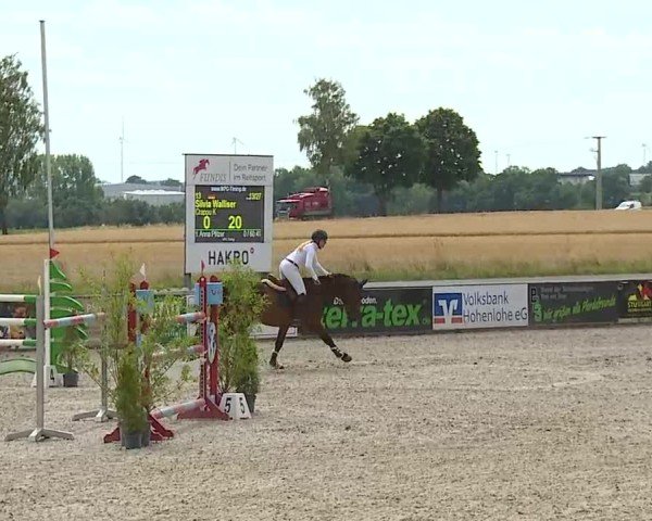 Reitturnier Rot am See- Musdorf 2025