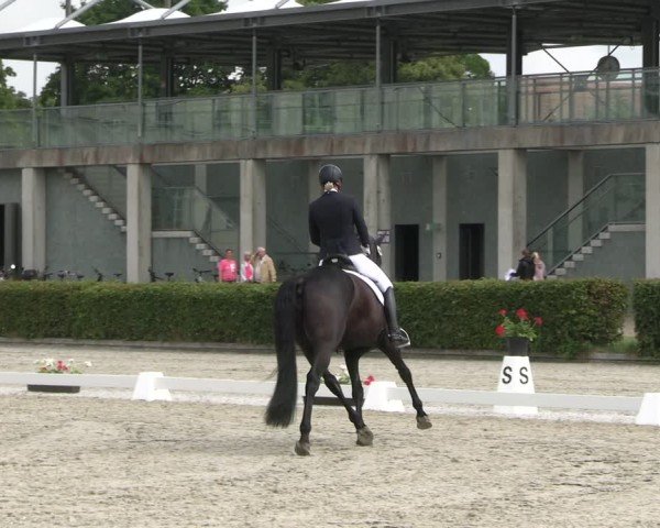 Reitturnier Neustadt/Dosse 2025