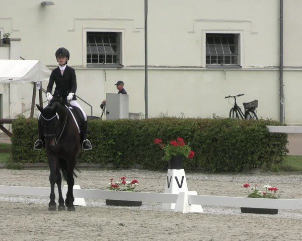 Reitturnier Neustadt/Dosse 2025