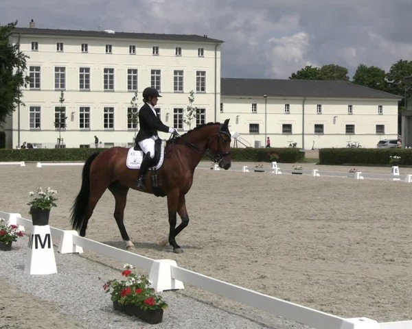 Reitturnier Neustadt/Dosse 2025