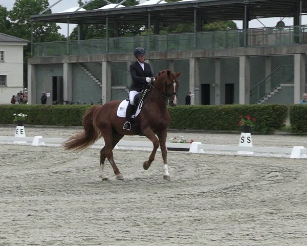 Reitturnier Neustadt/Dosse 2025
