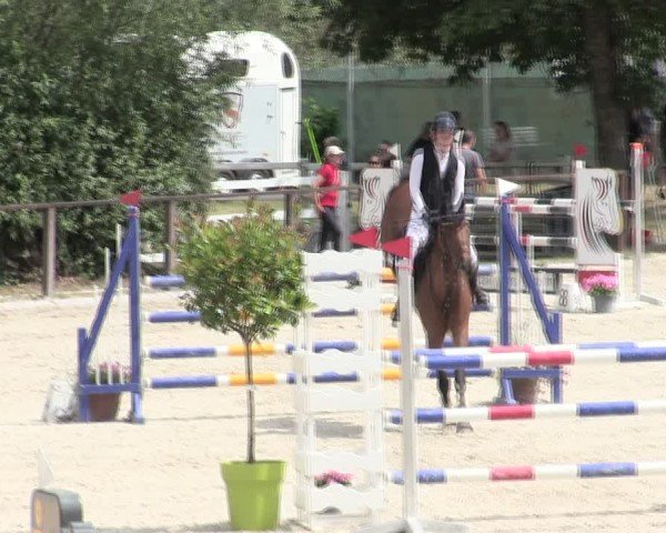Reitturnier Würzburg/Ufr. 2025