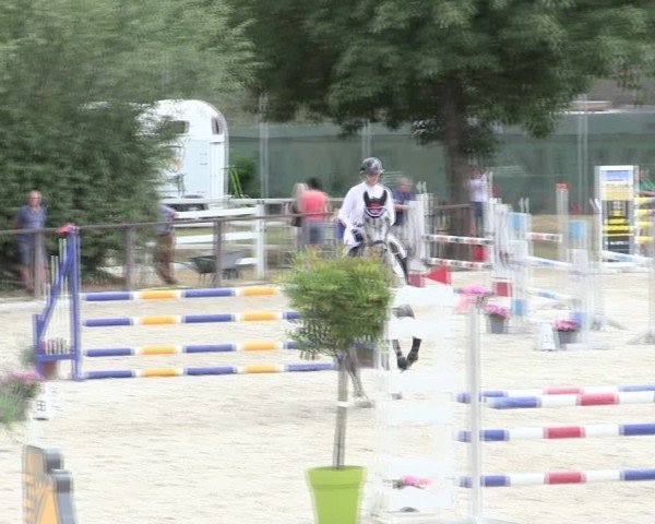 Reitturnier Würzburg/Ufr. 2025