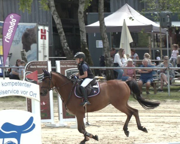Reitturnier Herbern 2025