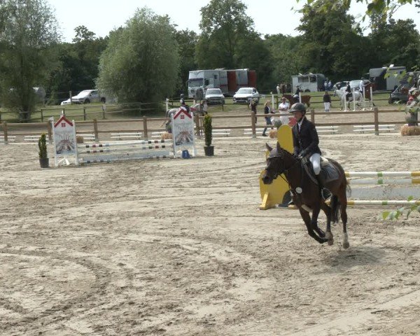 Reitturnier Herbern 2025