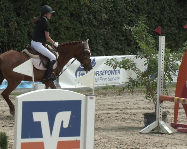 Reitturnier Herbern 2025
