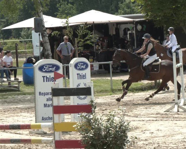 Reitturnier Herbern 2025