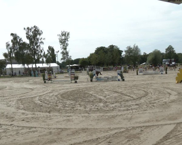 Reitturnier Herbern 2025
