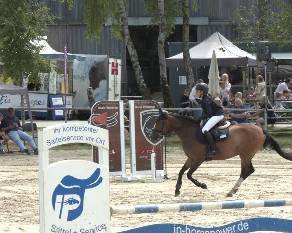 Reitturnier Herbern 2025