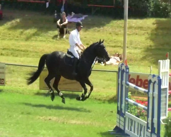 Sommerturnier Legelshurst 2014