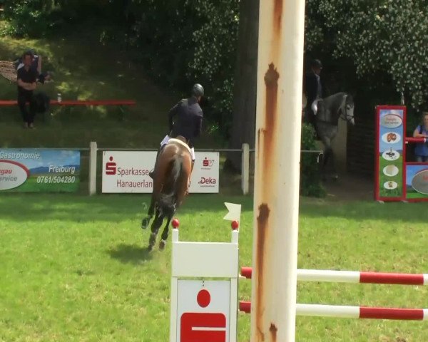 Sommerturnier Legelshurst 2014
