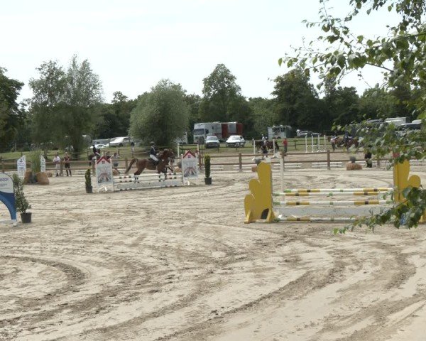 Reitturnier Herbern 2025