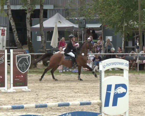 Reitturnier Herbern 2025