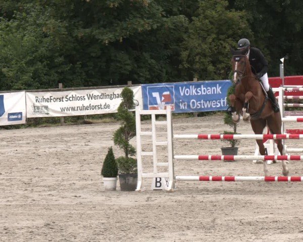 Reitturnier Vlotho-Exter 2025