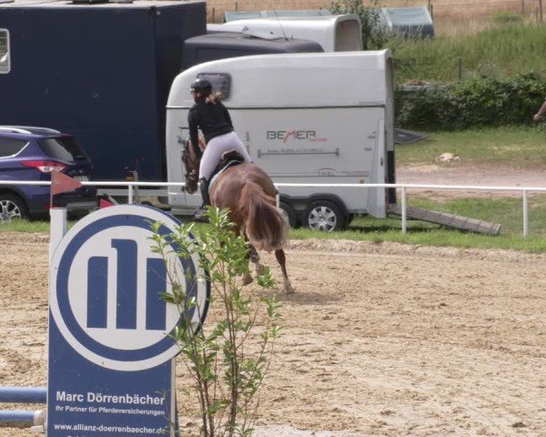 Reitturnier Heiligenwald 2025