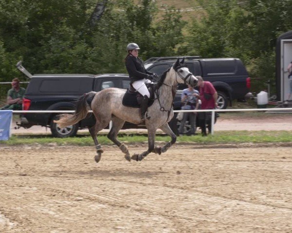Reitturnier Heiligenwald 2025