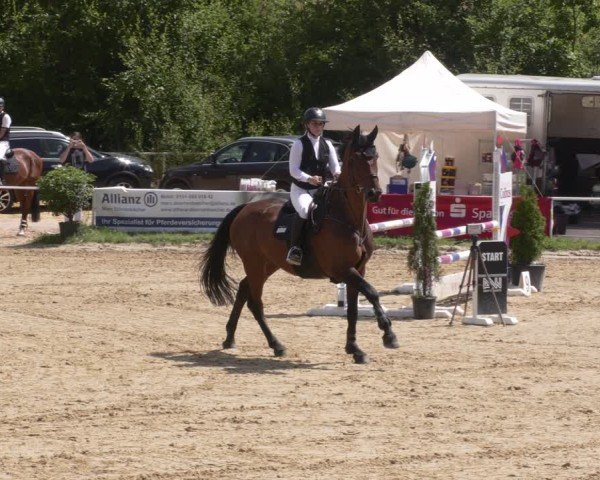 Reitturnier Heiligenwald 2025