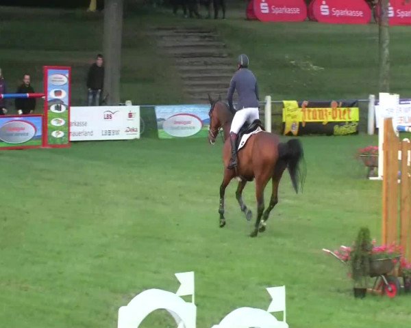 Sommerturnier Legelshurst 2014