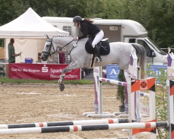 Reitturnier Heiligenwald 2025