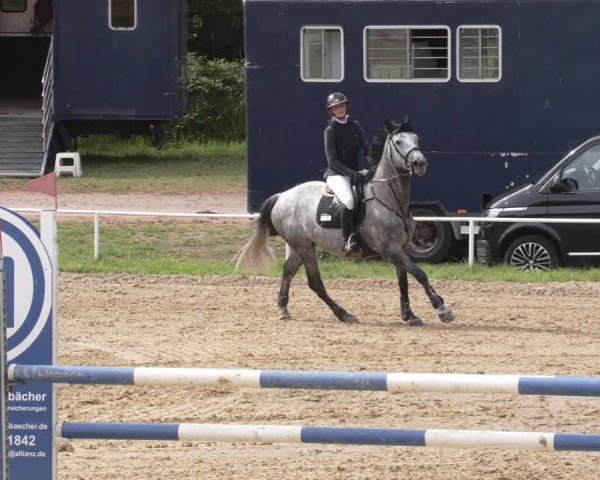 Reitturnier Heiligenwald 2025