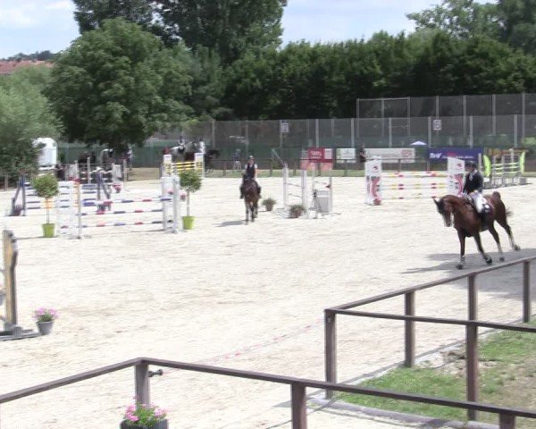 Reitturnier Würzburg/Ufr. 2025