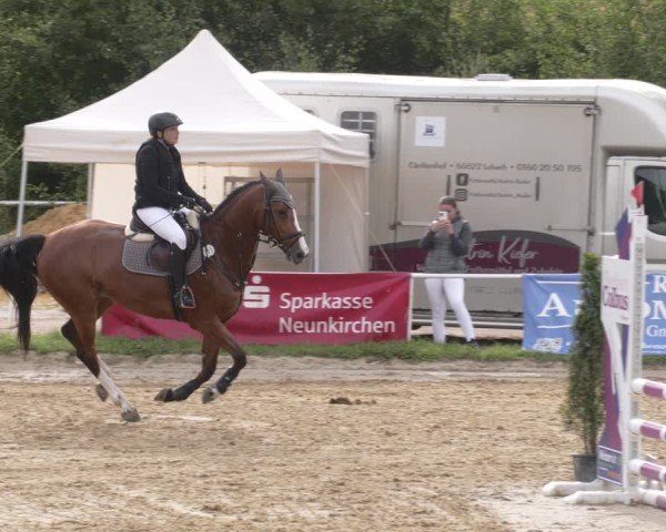 Reitturnier Heiligenwald 2025