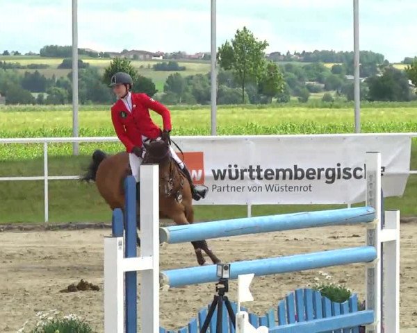 Großes Langenauer Reitturnier 2014