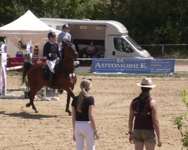 Reitturnier Heiligenwald 2025