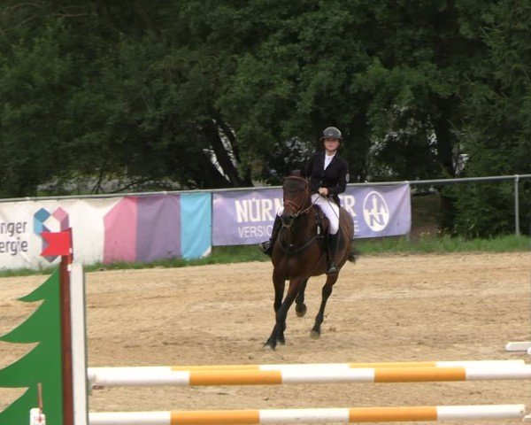 Reitturnier Bad Liebenstein/Sorga 2025