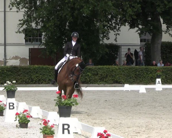 Reitturnier Neustadt/Dosse 2025