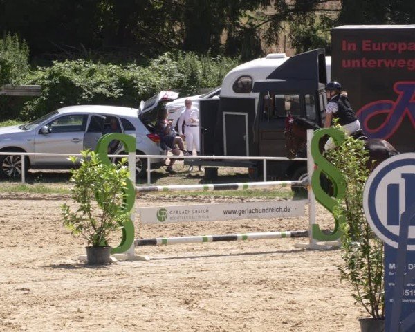 Reitturnier Heiligenwald 2025