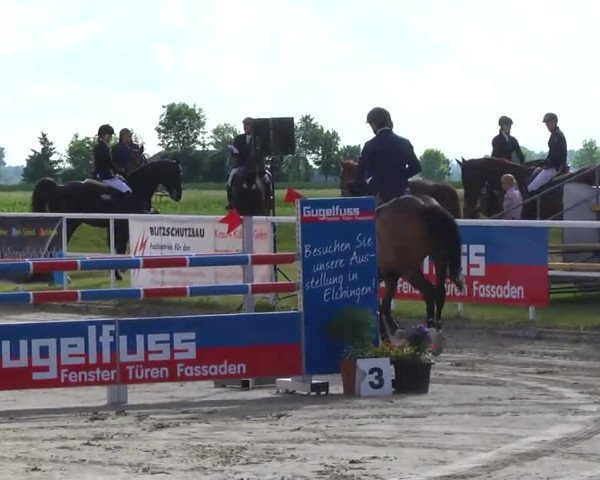Großes Langenauer Reitturnier 2014