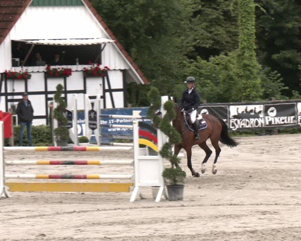 Reitturnier Vlotho-Exter 2025