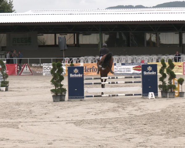 Reitturnier Vlotho-Exter 2025